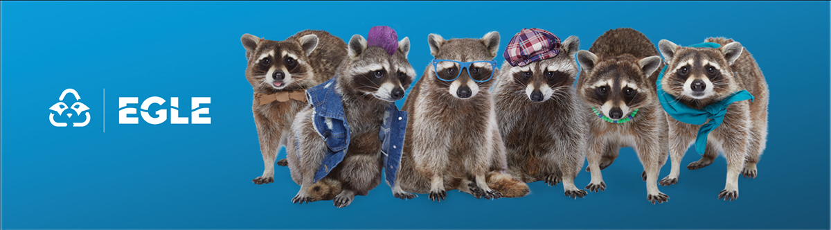Recycling Raccoons - Alpena Recycling Challenge