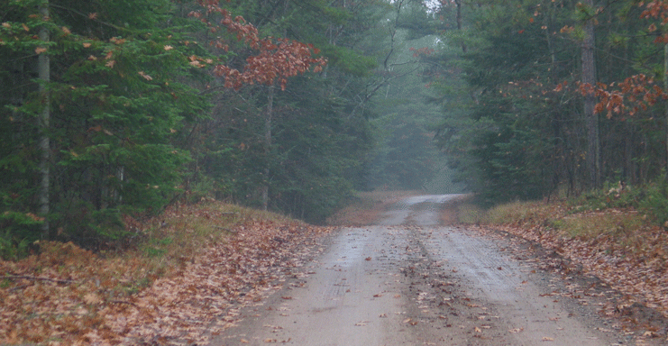 Country Road in NE Michigan