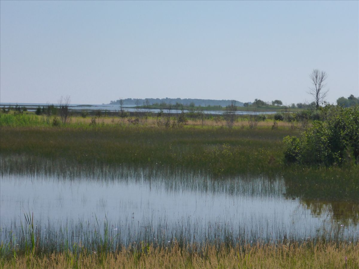 Squaw Bay